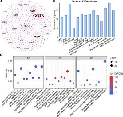 The clonal expression genes associated with poor prognosis of liver cancer